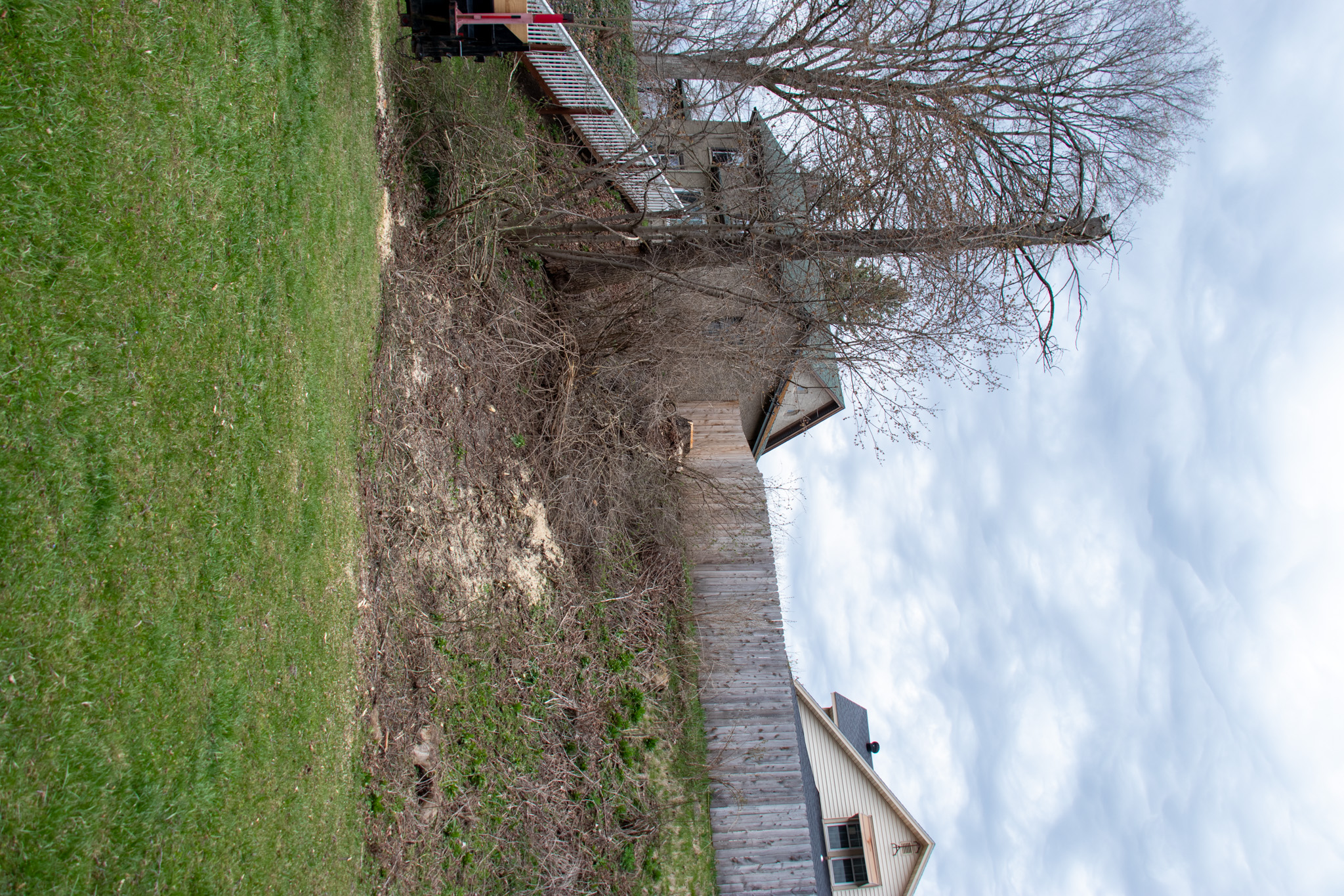 Stump Grinding Syracuse NY